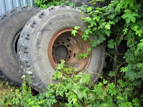 old abandoned big car wheels overgrown with wild grass