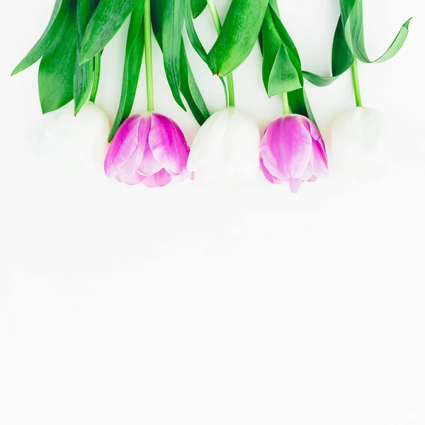 Vista Superior Flores Tulipa Isoladas Fundo Branco — Fotografia de Stock