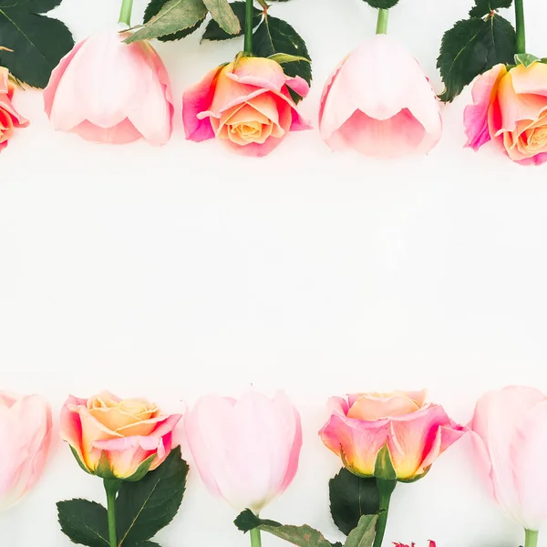Вид Зверху Квіти Троянд Ізольовані Білому Тлі — стокове фото
