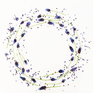 Beyaz arka plan üzerinde izole mor çiçekler çemberi üstten görünüm