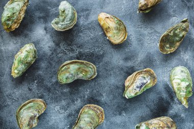 Gri arka plan üzerinde kapalı istiridye ve üstten görünüm 