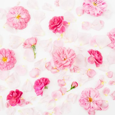 Pembe çiçek beyaz arka plan üzerinde izole üstten görünüm