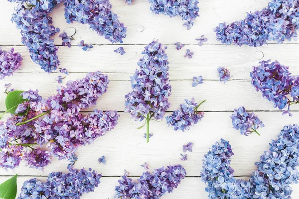 Vue Dessus Des Fleurs Violettes Isolées Sur Fond Blanc — Photo