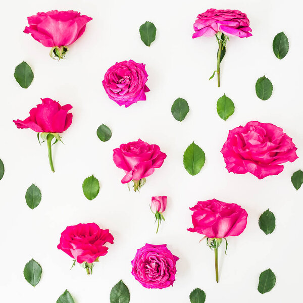 Top view of rose flowers isolated on white background