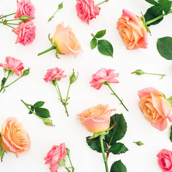 Vista Superior Rosas Rosadas Naranjas Aisladas Sobre Fondo Blanco — Foto de Stock