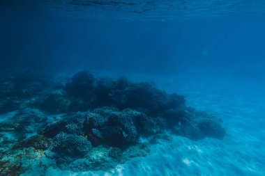 fotoğraf arka plan için güzel temiz mavi deniz