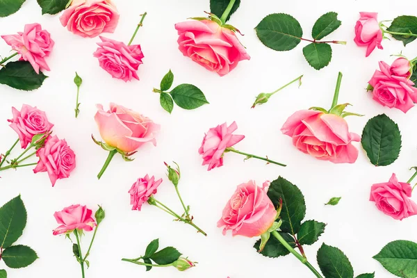 Шаблон Розовых Роз Зеленый Пар Листья Белом Фоне — стоковое фото