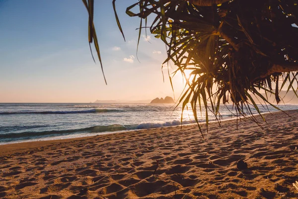 Indische Oceaan Met Eiland Strand Palmbomen Zonsondergang Oceaan Met Zonsondergang — Stockfoto