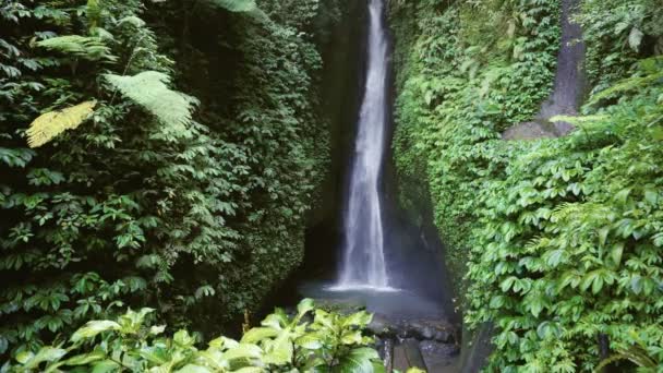 インドネシア バリ島でラカレケ ラカレケ滝 熱帯林と滝 — ストック動画