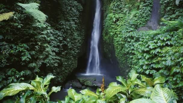 Leke Leke Wasserfall Bali Indonesien Tropenwald Und Wasserfall — Stockvideo