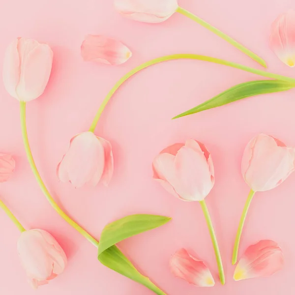 ピンクの背景にチューリップと花の組成 — ストック写真