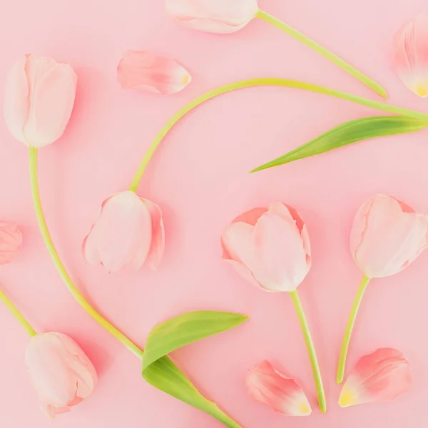 Blommig Komposition Med Tulpaner Rosa Bakgrund — Stockfoto