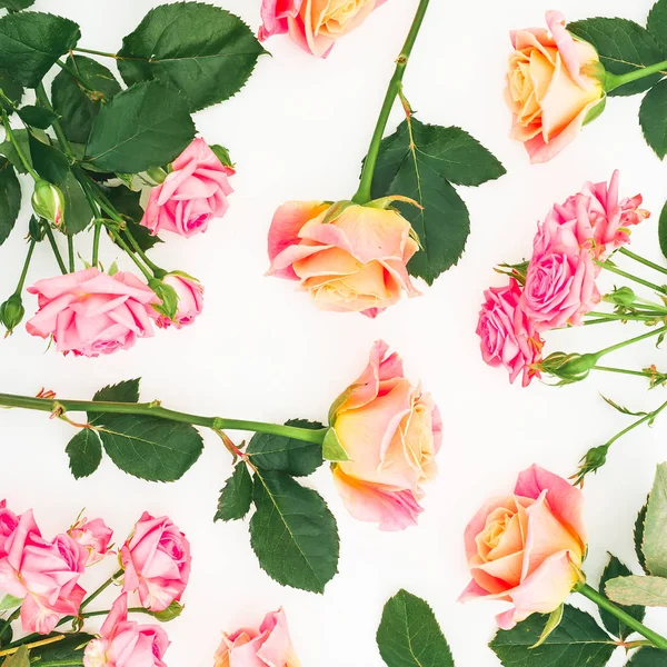 Vista Superior Rosas Rosadas Sobre Fondo Blanco Puesta Plana — Foto de Stock