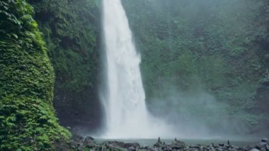 Şelale Bali, Endonezya. Tropikal orman ve şelale