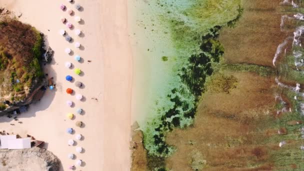 Tropical Beach Resort Ocean Aerial View Top View — Stock Video