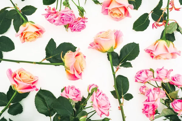 Composición Del Marco Floral Con Rosas Flores Hojas Brotes Sobre — Foto de Stock