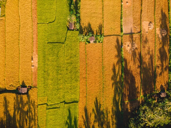 Yeşil Alanlar Üzerinde Havadan Görünümü — Stok fotoğraf