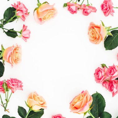 Gül, yaprakları ve beyaz arka plan üzerinde yaprakları çiçek yuvarlak desenli. Düz yatıyordu, en iyi görünümü.