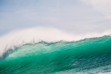 Varil dalga Okyanusu. Sörf Oahu için son dakika dalga