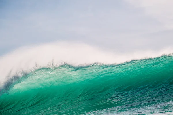 Varil dalga Okyanusu. Sörf Oahu için son dakika dalga