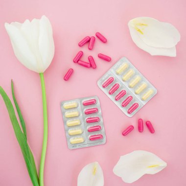 Lale çiçek ve uyuşturucu pembe bir arka plan üzerinde pastel kompozisyonu. Çerçeve arka plan. Düz yatıyordu, en iyi görünümü.  