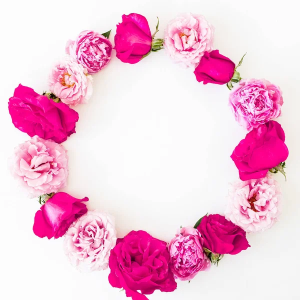 Quadro Feito Rosas Rosa Pastel Pétalas Sobre Fundo Branco Deitado — Fotografia de Stock