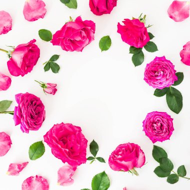 pastel pembe gül beyaz arka plan üzerinde izole yuvarlak çerçeve yaptı 