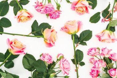 Güllü çiçek desenli çiçek yaprakları ve beyaz arka plan üzerinde bırakır. Düz yatıyordu, en iyi görünümü.