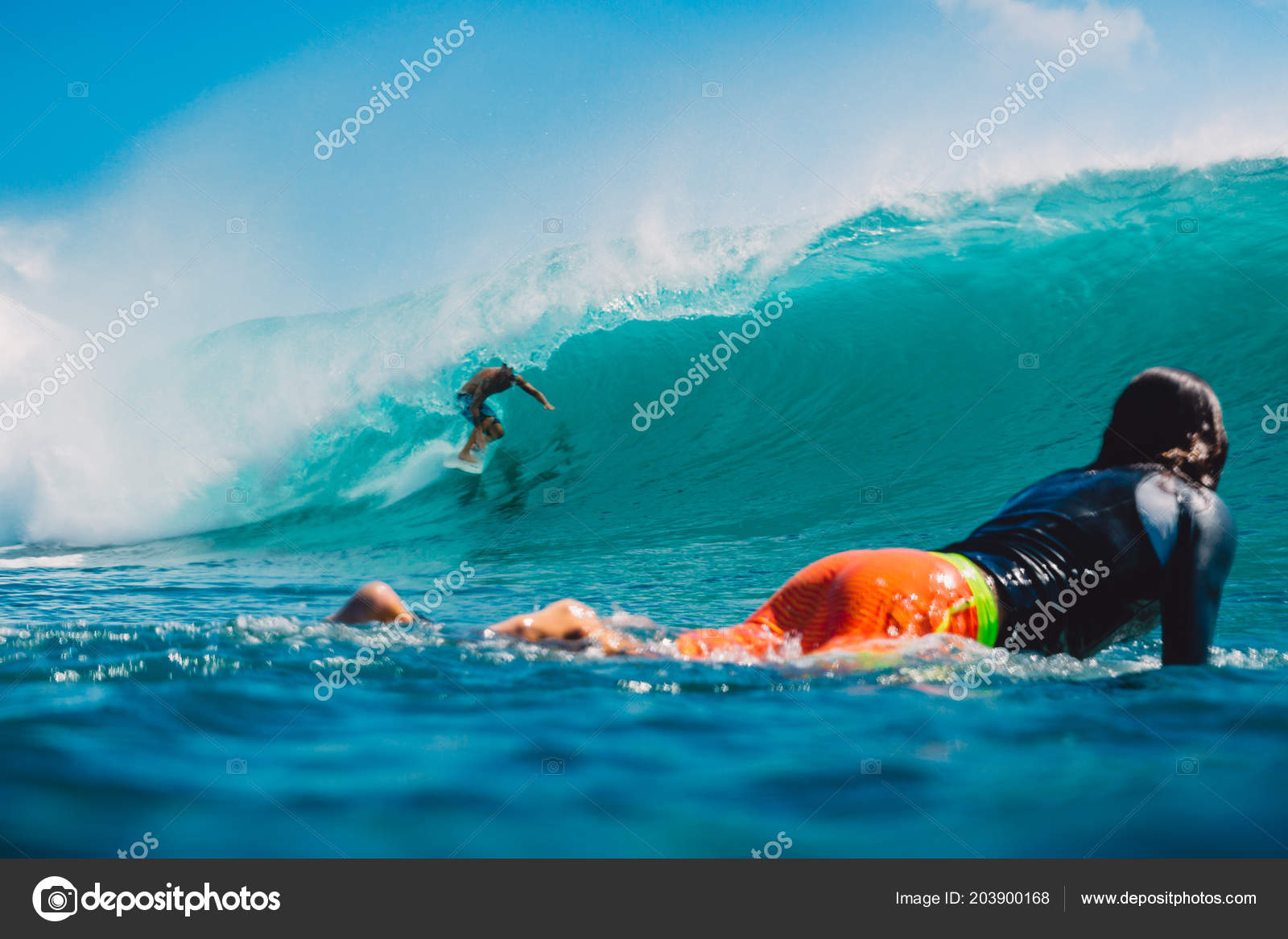 download surfer 7 free