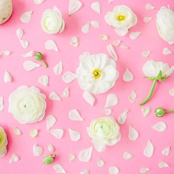Нежные Белые Анемоны Розовом Фоне — стоковое фото