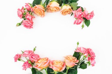 Gül çiçek beyaz arka plan üzerinde çerçeve yaptı. Düz yatıyordu, en iyi görünümü.