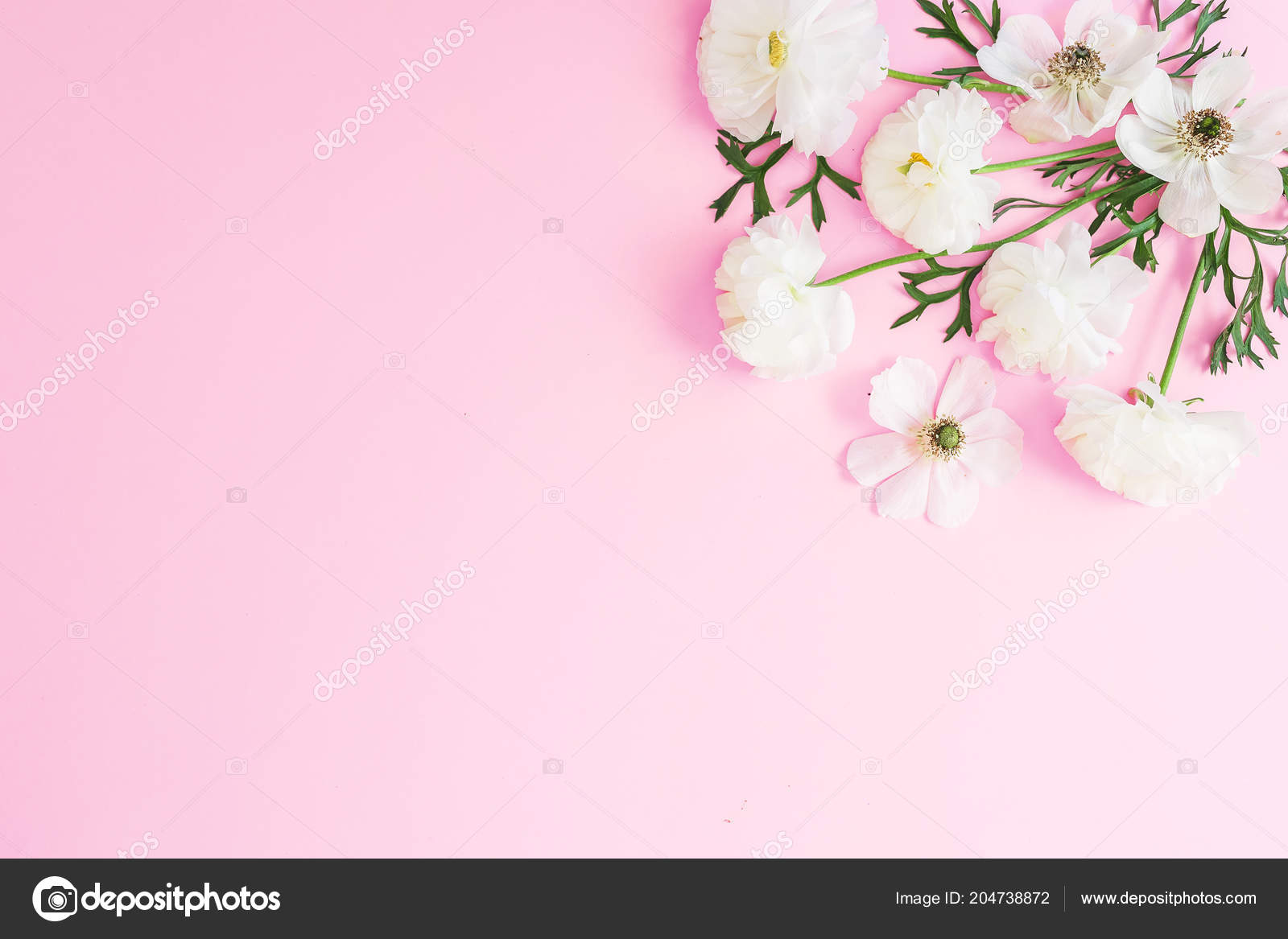 floral and petals