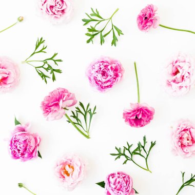 Pastel pembe güller ve beyaz arka plan üzerinde yaprakları. Düz yatıyordu, en iyi görünüm. Pembe çiçek çiçek deseni