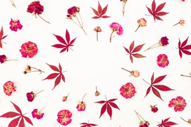 Sonbahar kompozisyon. Sonbahar Kurutulmuş yaprak ve güller çiçek beyaz arka plan üzerinde çerçeve yaptı. Düz yatıyordu, en iyi görünüm, kopya alanı