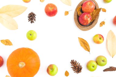 Sonbahar kurutulmuş yaprakları, çam kozalakları, elma ve balkabağı beyaz arka plan üzerinde Şükran sonbahar çerçeve yaptı. Düz yatıyordu, en iyi görünümü