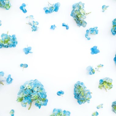 Çerçeve beyaz zemin üzerine mavi ortanca çiçek çiçek. Düz yatıyordu, en iyi görünüm. Çiçek arka plan