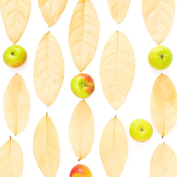 День Благодарения Композиция Осенью Сушеные Листья Яблоками Изолированы Белом Фоне — стоковое фото