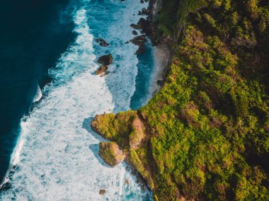 sakin tropikal deniz kıyısı yeşil ağaçlar ile buzlu ısmarlayarak  