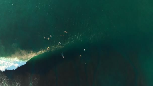 Flygfoto Surfare Och Vinkar Tropiska Hav Ovanifrån — Stockvideo