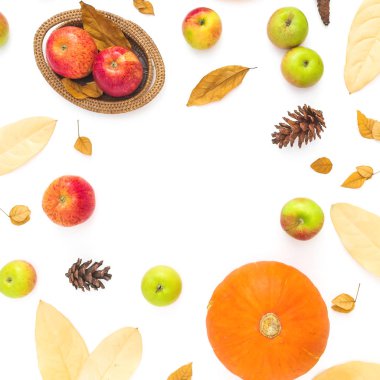 Elma kurutulmuş sonbahar yaprakları ve beyaz arka plan üzerinde üstten görünüm izole çam kozalakları ile kabak Şükran sonbahar çerçeve yaptı
