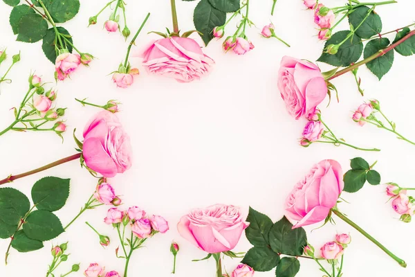 Цветок Картина Пастельно Розовые Розы Изолированы Белом Фоне Вид Сверху — стоковое фото