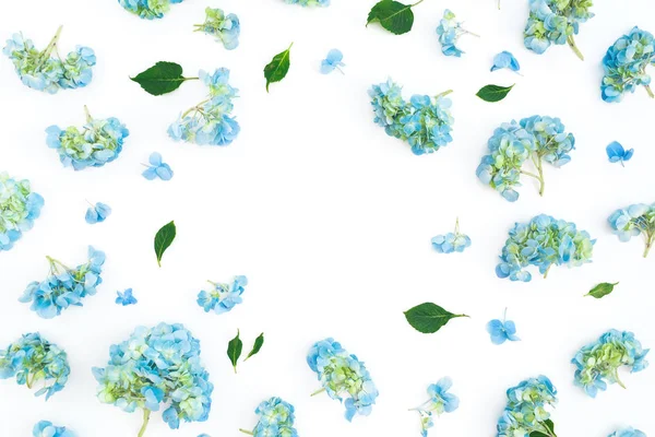 Floral Frame Van Blauwe Hortensia Bloemen Witte Achtergrond Bovenaanzicht — Stockfoto