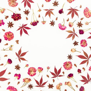 Kırmızı sonbahar sonbahar çerçeveyle yaprakları ve beyaz zemin üzerine gül çiçek kurutulmuş. Düz yatıyordu, en iyi görünümü.