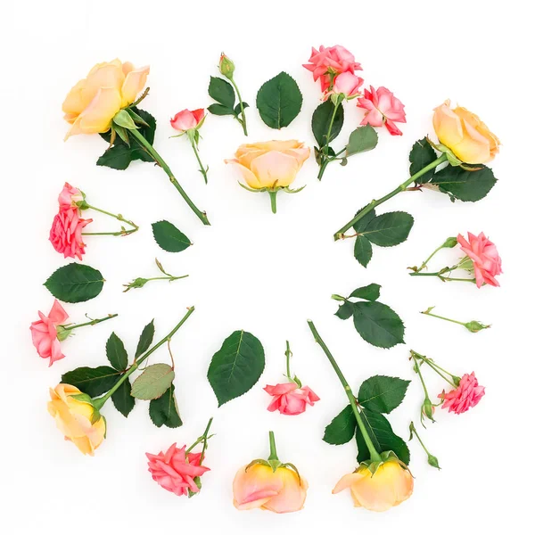 Moldura Flores Rosas Rosa Pastel Isolado Fundo Branco Vista Superior — Fotografia de Stock