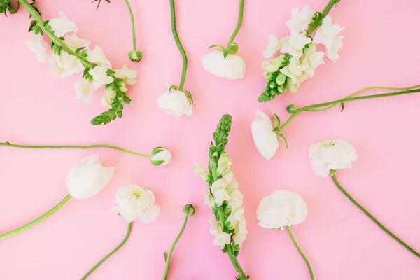 Floral Μοτίβο Του Όμορφα Λευκά Άνθη Ροζ Φόντο Επίπεδη Lay — Φωτογραφία Αρχείου