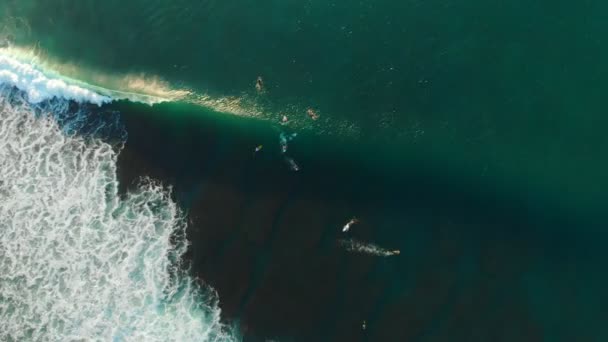 Vue aérienne des surfeurs et des vagues de tonneaux dans l'océan. Vue de dessus. Surf et vagues 