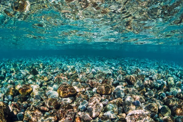 Beautiful underwater world with stones on bottom