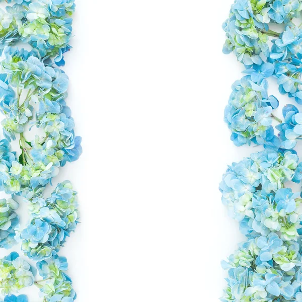 Květinový Rámeček Modré Hortenzie Květů Bílém Pozadí Pohled Ploché Ležel — Stock fotografie