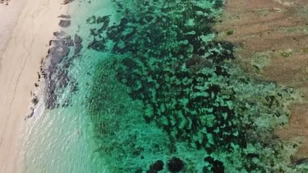 Luftaufnahme Vom Strand Mit Türkisfarbenem Wasser Auf Tropischer Insel — Stockvideo