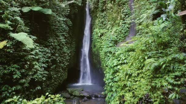 Lele Leke Cachoeira Bali Indonésia Floresta Tropical Cachoeira — Vídeo de Stock